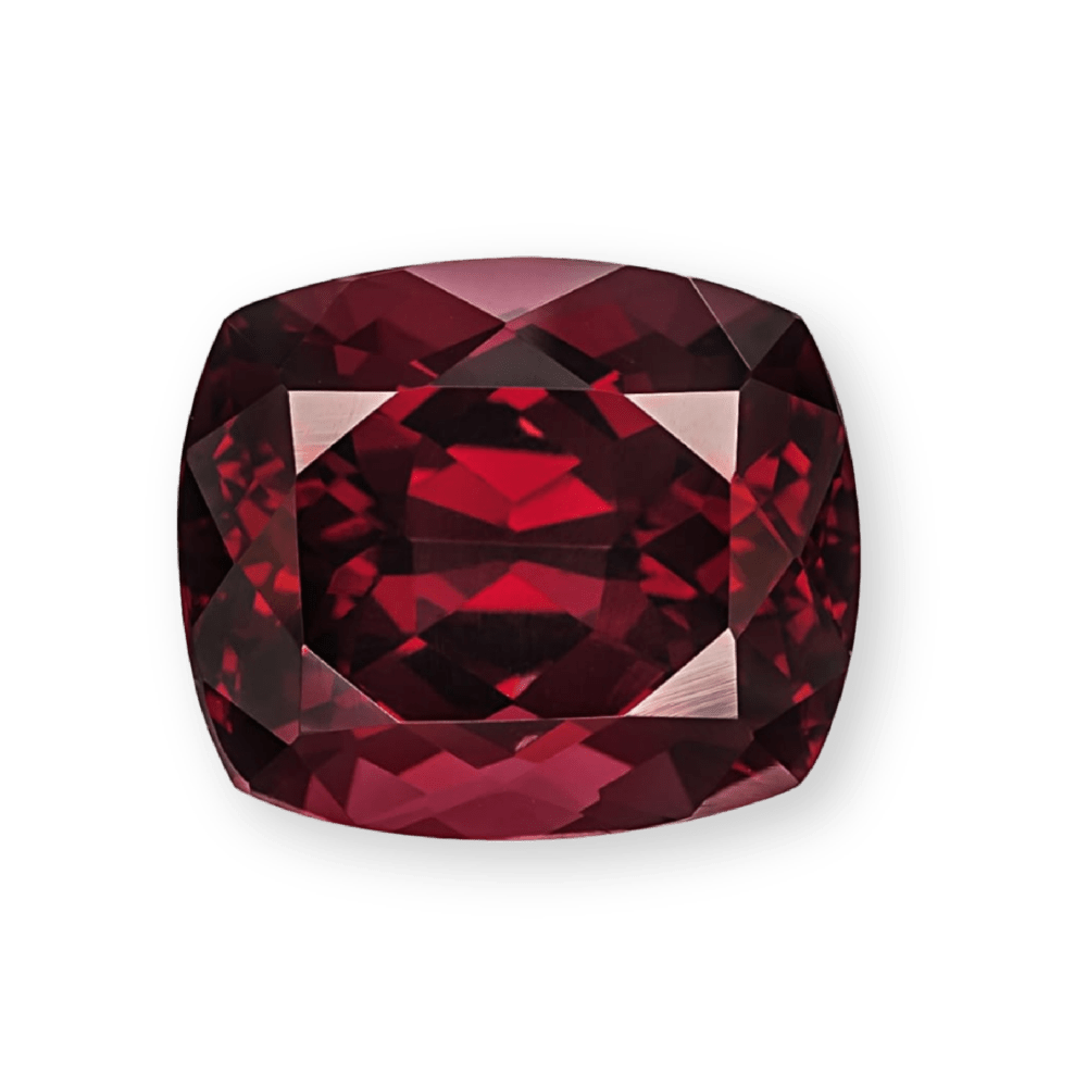 Garnet Explorer